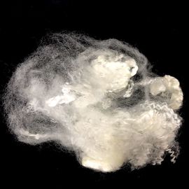 Soft Acrylic Synthetic Staple Fibers Non Siliconized Acrylonitrile Staple Fibre